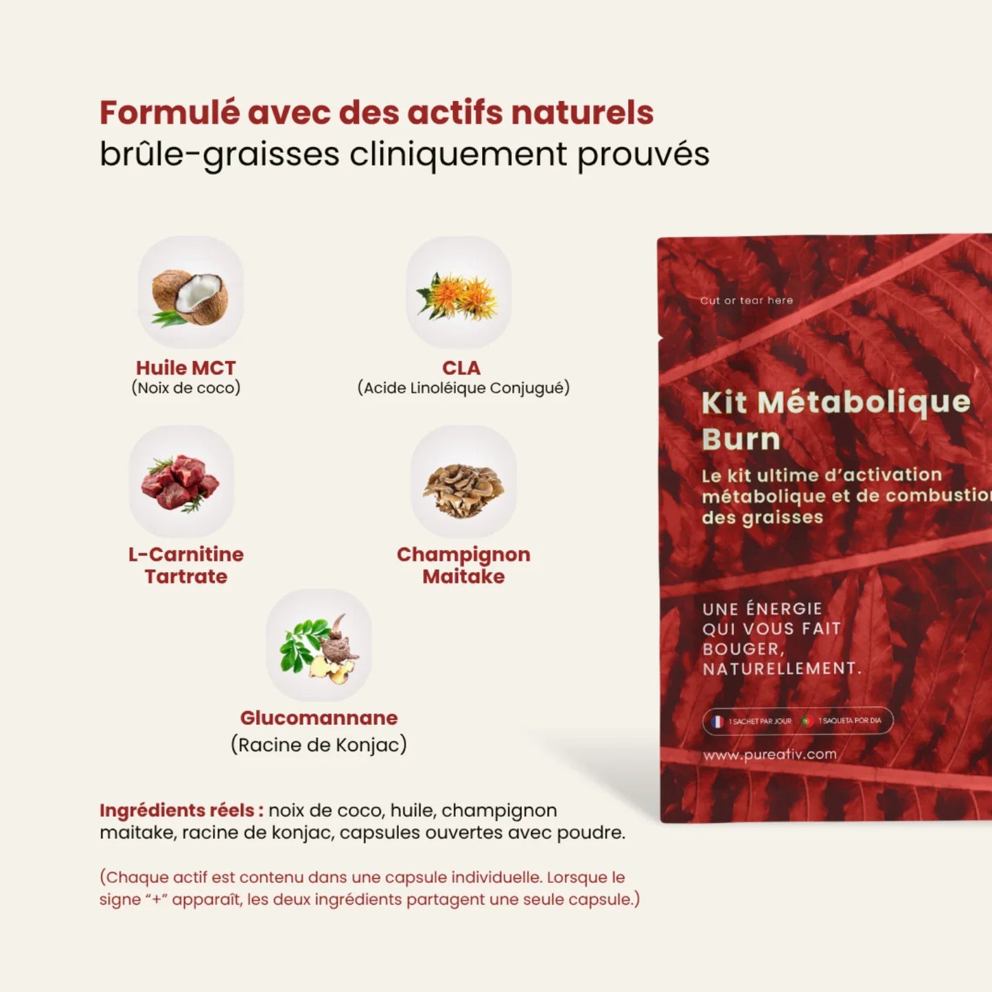 KIT MÉTABOLIQUE BURN