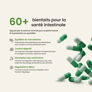 KIT TRANSIT & DIGESTION